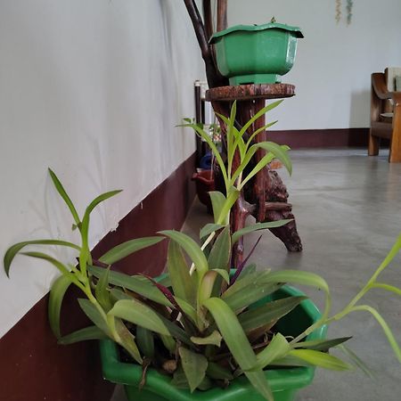 Gayatri Homestay Dibrugarh Dış mekan fotoğraf