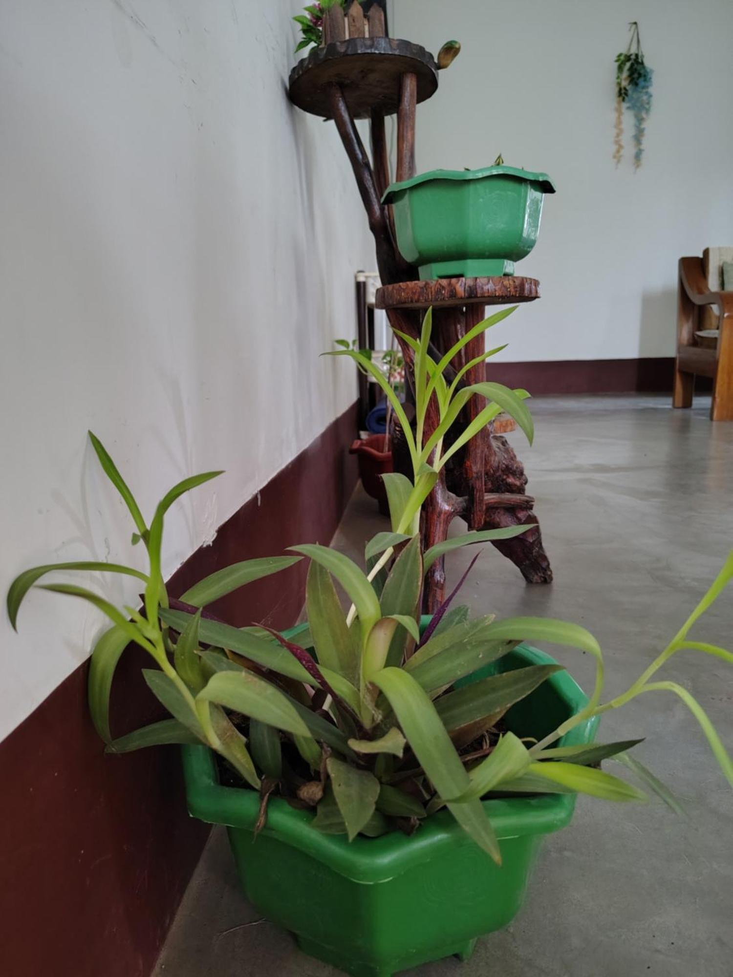 Gayatri Homestay Dibrugarh Dış mekan fotoğraf